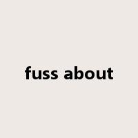 fuss about是什么意思