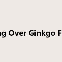 Soaring Over Ginkgo Forests是什么意思