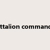 battalion commander是什么意思