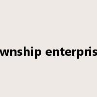 township enterprises是什么意思