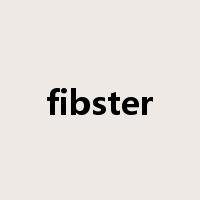 fibster是什么意思