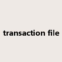 transaction file是什么意思