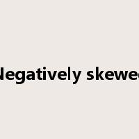 Negatively skewed是什么意思