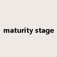 maturity stage是什么意思