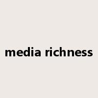 media richness是什么意思