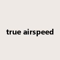 true airspeed是什么意思