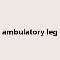 ambulatory leg是什么意思