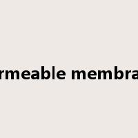 permeable membrane是什么意思