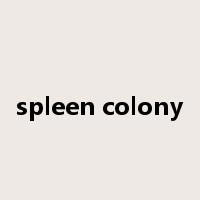 spleen colony是什么意思