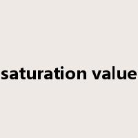saturation value是什么意思