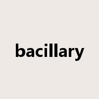 bacillary是什么意思