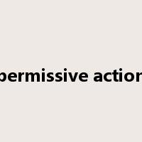 permissive action是什么意思