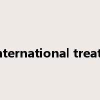 international treaty是什么意思