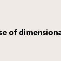 curse of dimensionality是什么意思