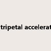 centripetal acceleration是什么意思