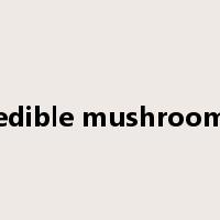 edible mushroom是什么意思