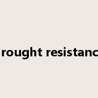 drought resistance是什么意思