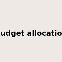 budget allocation是什么意思