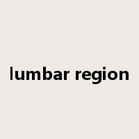 lumbar region是什么意思