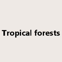 Tropical forests是什么意思