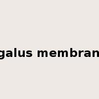 Astragalus membranaceus是什么意思