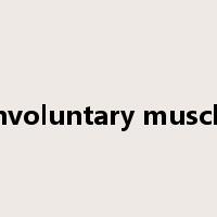 involuntary muscle是什么意思