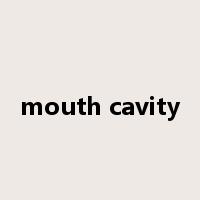 mouth cavity是什么意思