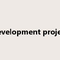 development project是什么意思