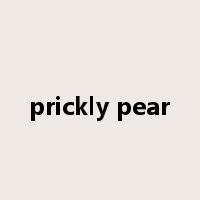 prickly pear是什么意思