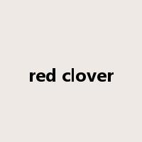 red clover是什么意思