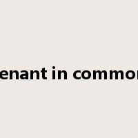 tenant in common是什么意思