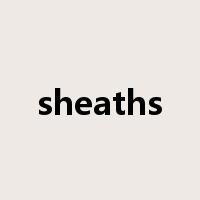 sheaths是什么意思