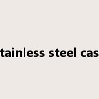 stainless steel case是什么意思