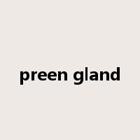 preen gland是什么意思