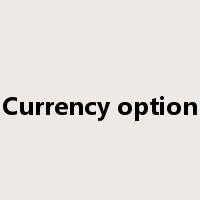 Currency option是什么意思