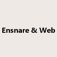 Ensnare & Web是什么意思