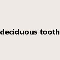 deciduous tooth是什么意思