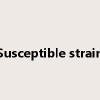 Susceptible strain是什么意思