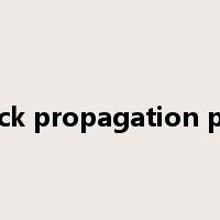 Crack propagation path是什么意思