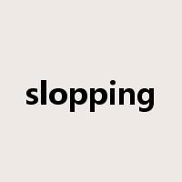 slopping是什么意思