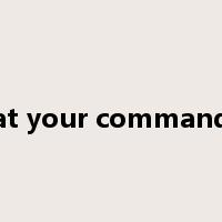 at your command是什么意思