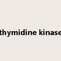 thymidine kinase是什么意思