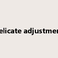 delicate adjustment是什么意思