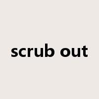 scrub out是什么意思