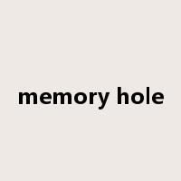 memory hole是什么意思