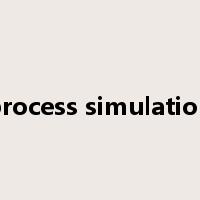 process simulation是什么意思