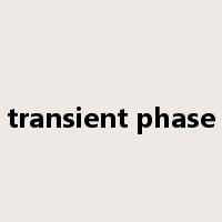 transient phase是什么意思