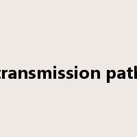 transmission path是什么意思