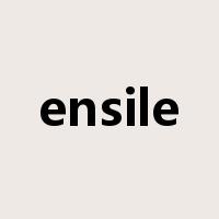 ensile是什么意思