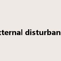 external disturbance是什么意思